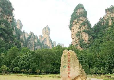 走湘西——張家界、鳳凰古城游記(一)