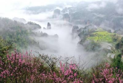 候鳥的選擇，彰顯湖南生態(tài)系統(tǒng)持續(xù)優(yōu)化